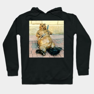 squirrel lucu Hoodie